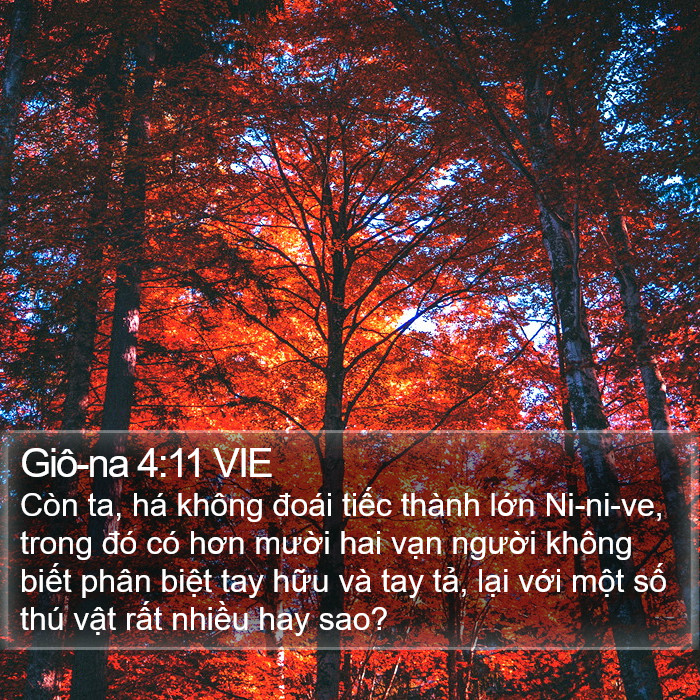 Giô-na 4:11 VIE Bible Study