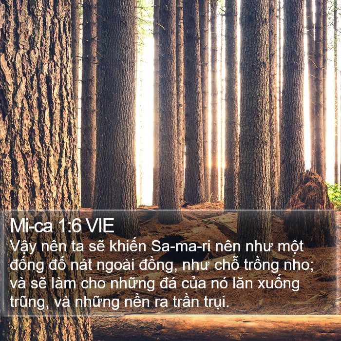 Mi-ca 1:6 VIE Bible Study