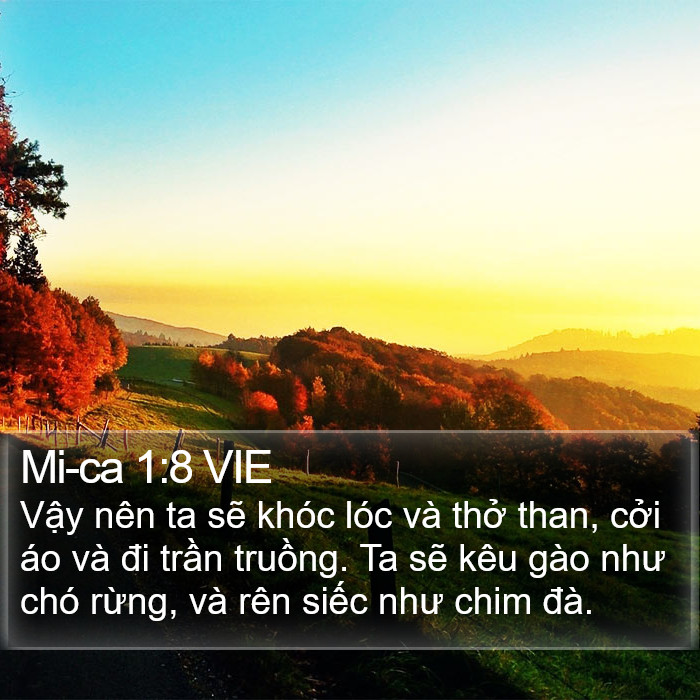 Mi-ca 1:8 VIE Bible Study