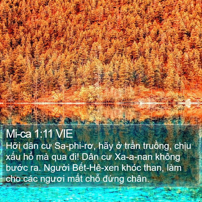 Mi-ca 1:11 VIE Bible Study