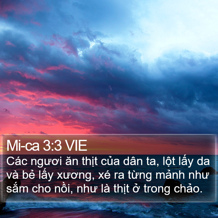 Mi-ca 3:3 VIE Bible Study
