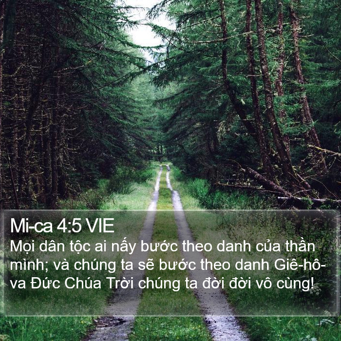 Mi-ca 4:5 VIE Bible Study