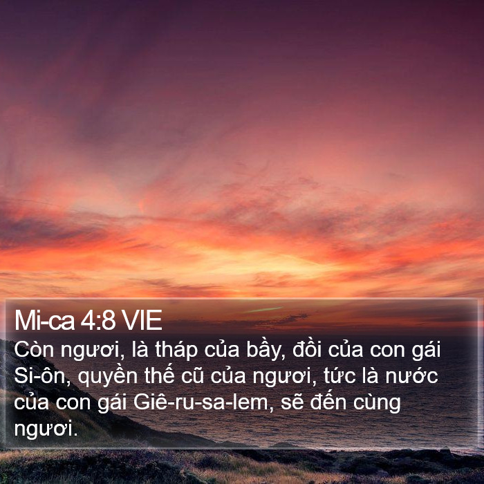 Mi-ca 4:8 VIE Bible Study