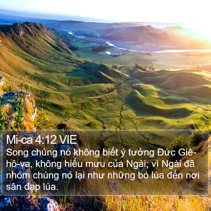 Mi-ca 4:12 VIE Bible Study