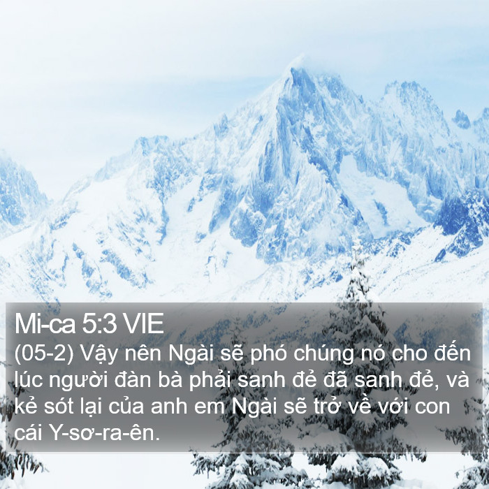 Mi-ca 5:3 VIE Bible Study