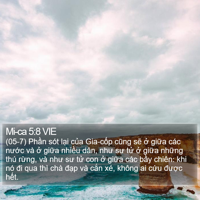 Mi-ca 5:8 VIE Bible Study