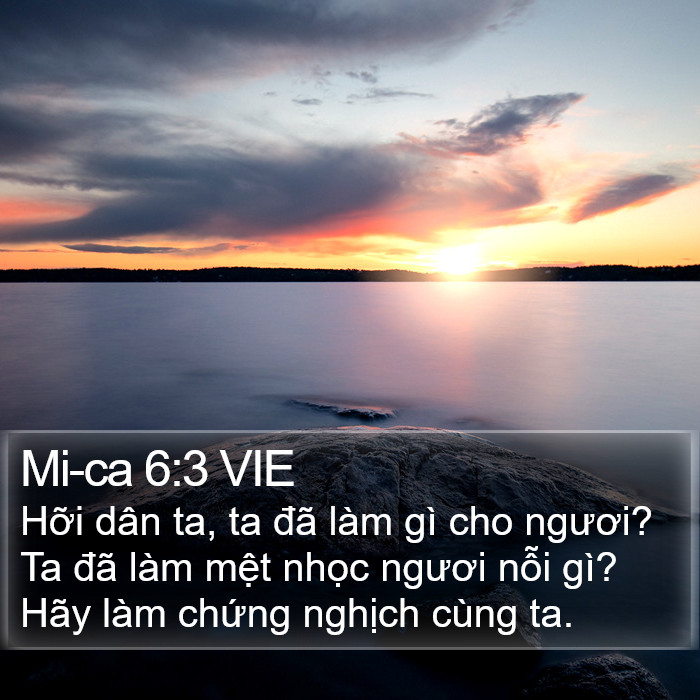 Mi-ca 6:3 VIE Bible Study