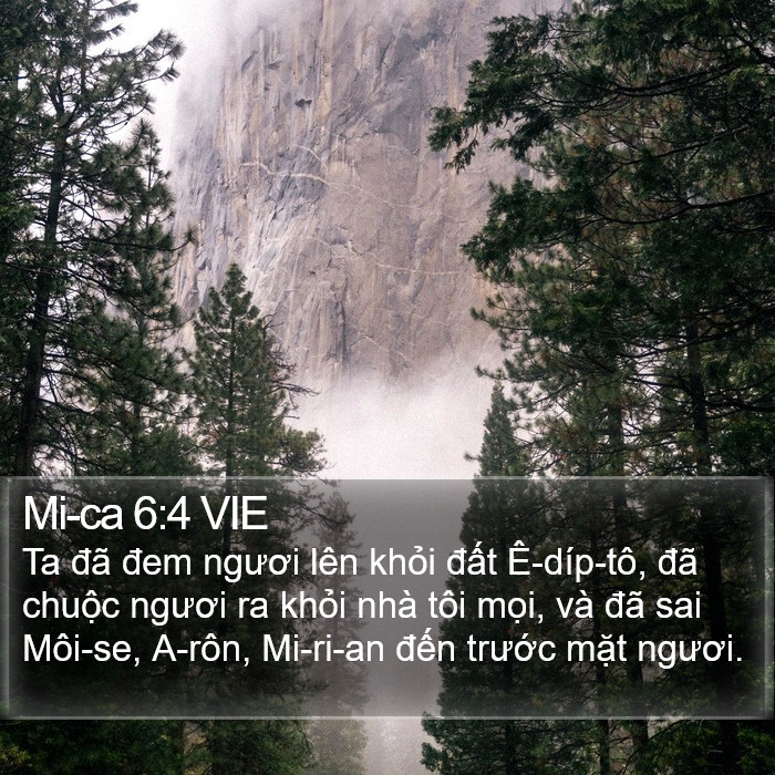 Mi-ca 6:4 VIE Bible Study