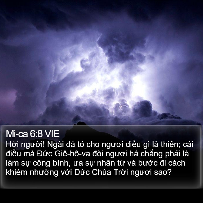 Mi-ca 6:8 VIE Bible Study