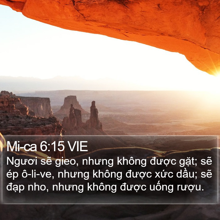 Mi-ca 6:15 VIE Bible Study