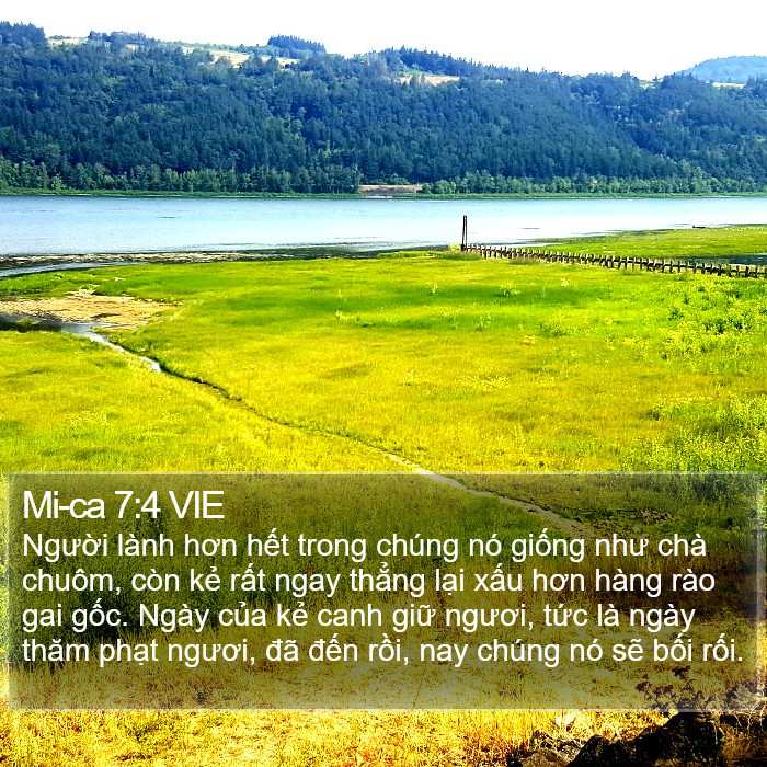 Mi-ca 7:4 VIE Bible Study