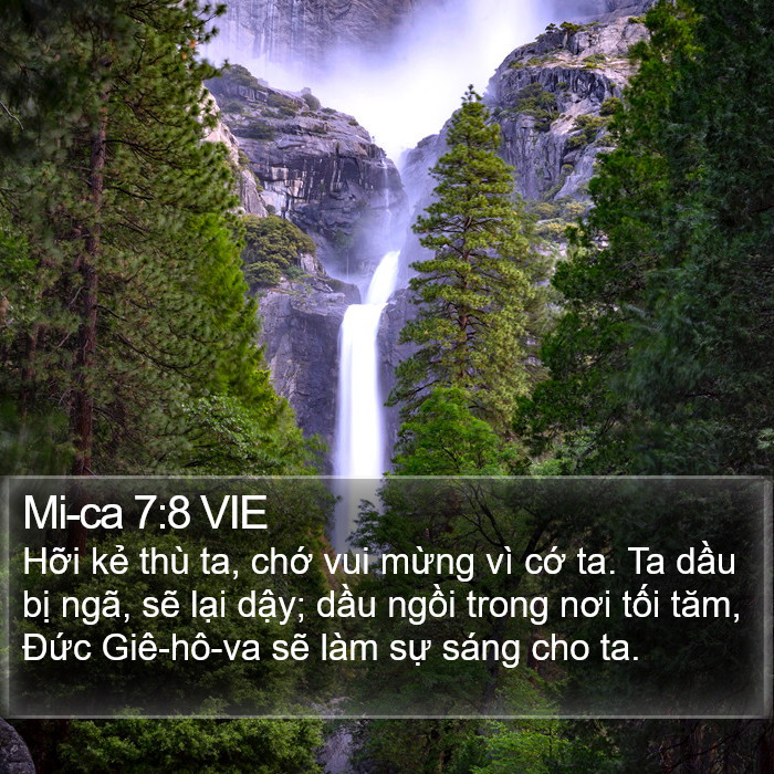 Mi-ca 7:8 VIE Bible Study