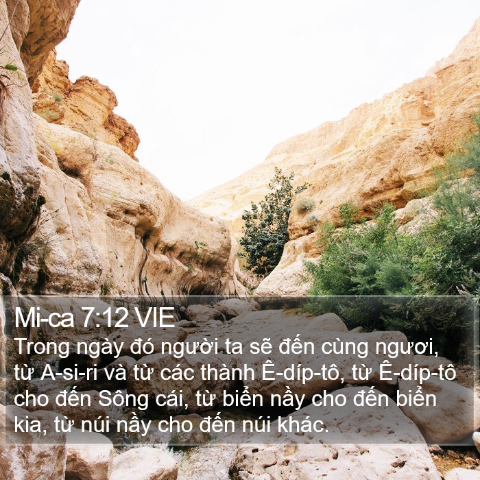 Mi-ca 7:12 VIE Bible Study