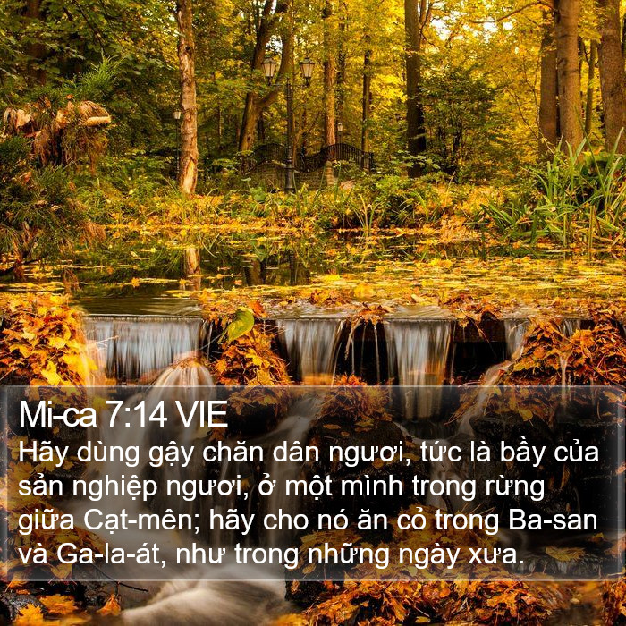 Mi-ca 7:14 VIE Bible Study