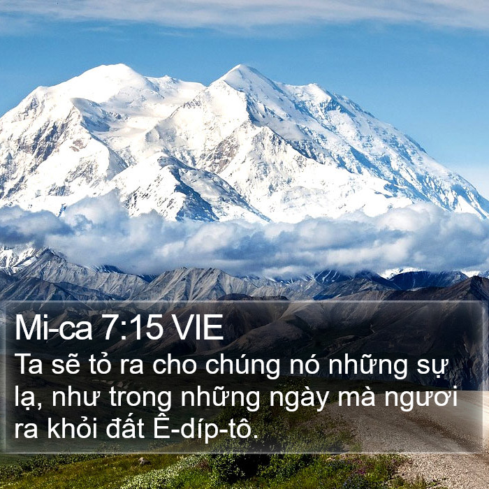 Mi-ca 7:15 VIE Bible Study