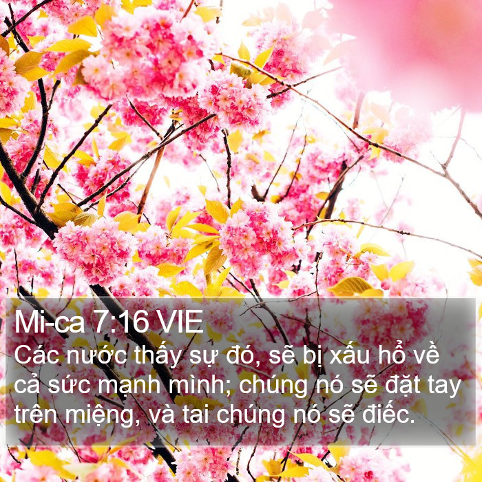 Mi-ca 7:16 VIE Bible Study