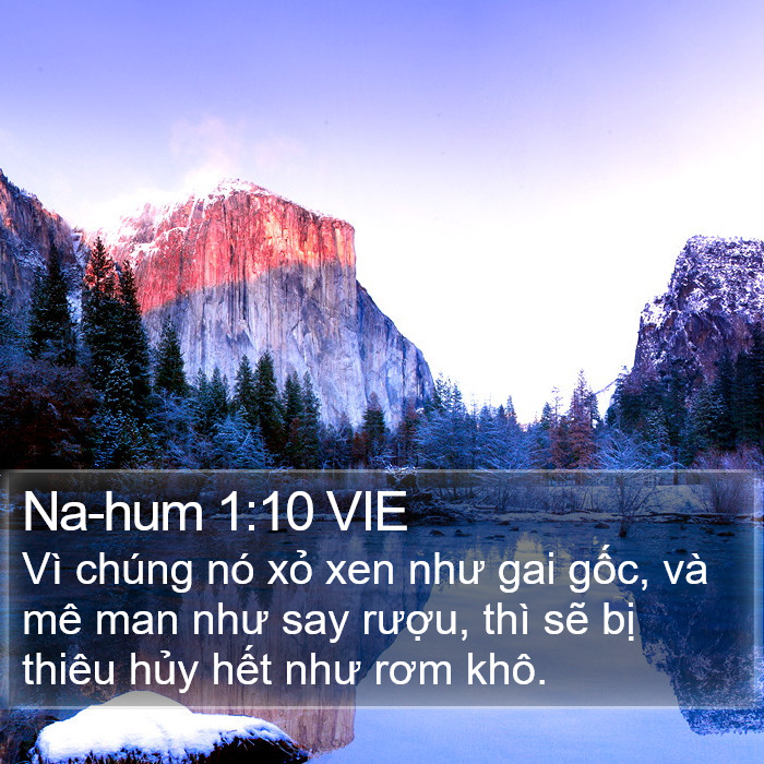 Na-hum 1:10 VIE Bible Study