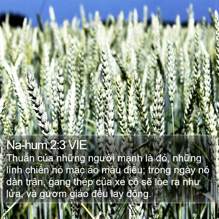 Na-hum 2:3 VIE Bible Study