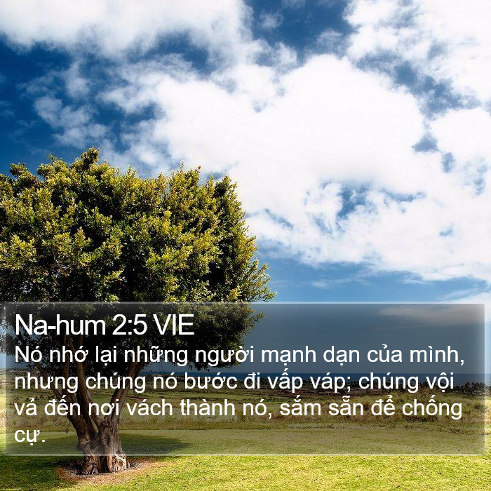 Na-hum 2:5 VIE Bible Study