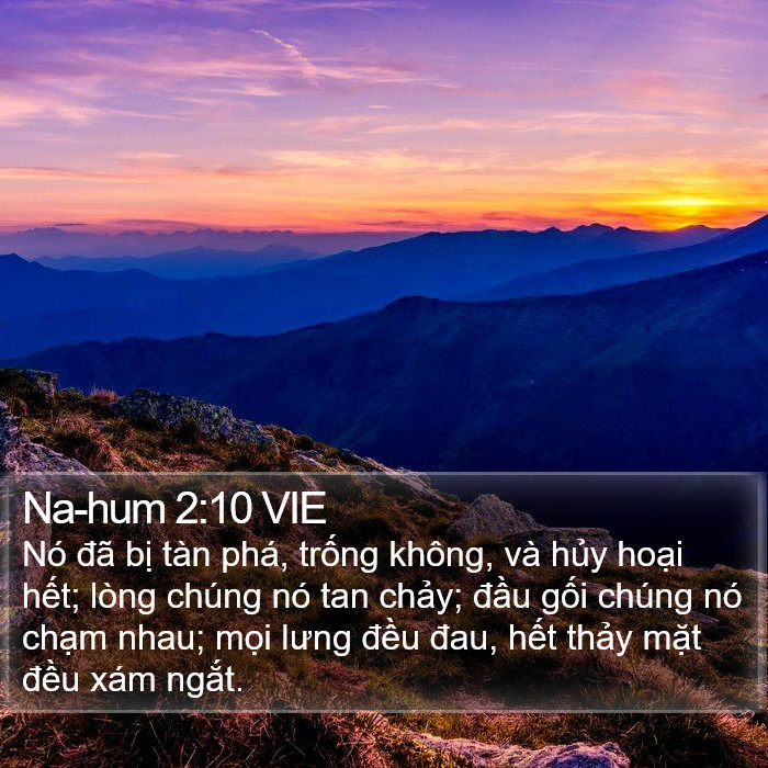 Na-hum 2:10 VIE Bible Study