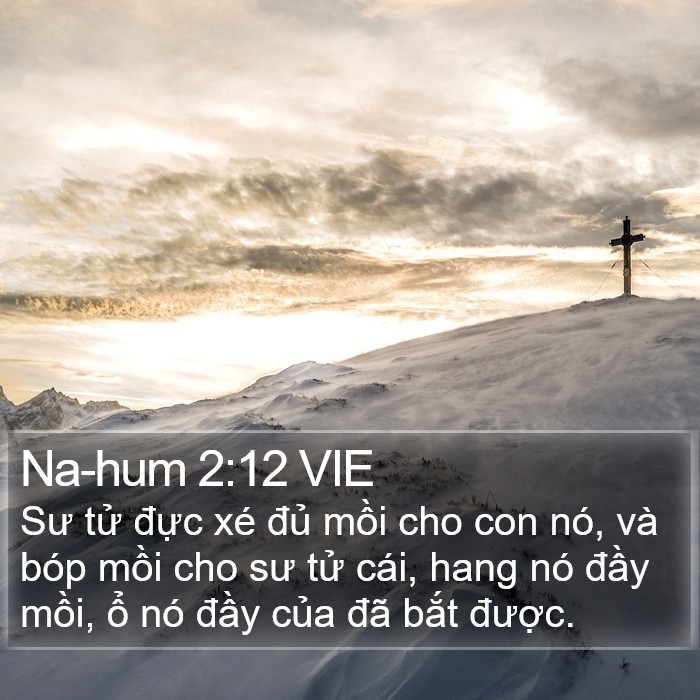 Na-hum 2:12 VIE Bible Study