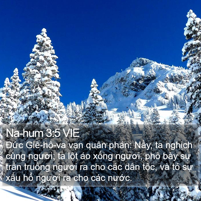 Na-hum 3:5 VIE Bible Study