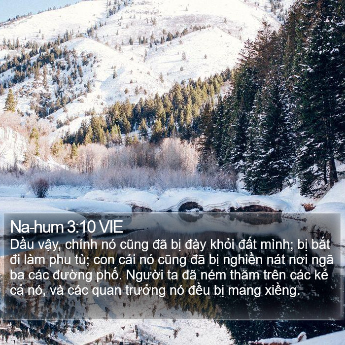 Na-hum 3:10 VIE Bible Study