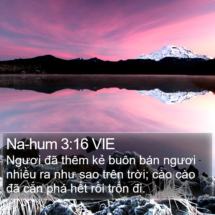 Na-hum 3:16 VIE Bible Study