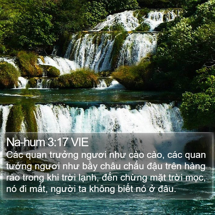 Na-hum 3:17 VIE Bible Study