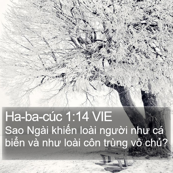 Ha-ba-cúc 1:14 VIE Bible Study