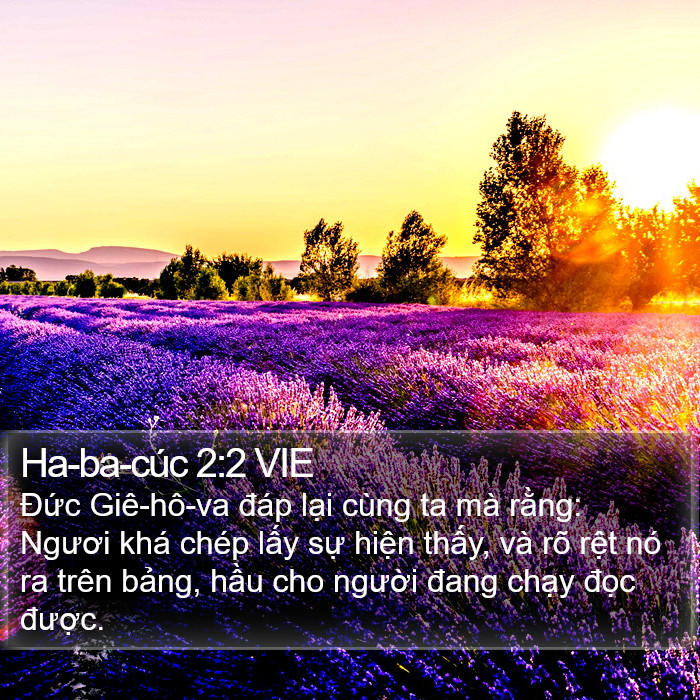 Ha-ba-cúc 2:2 VIE Bible Study