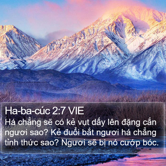 Ha-ba-cúc 2:7 VIE Bible Study