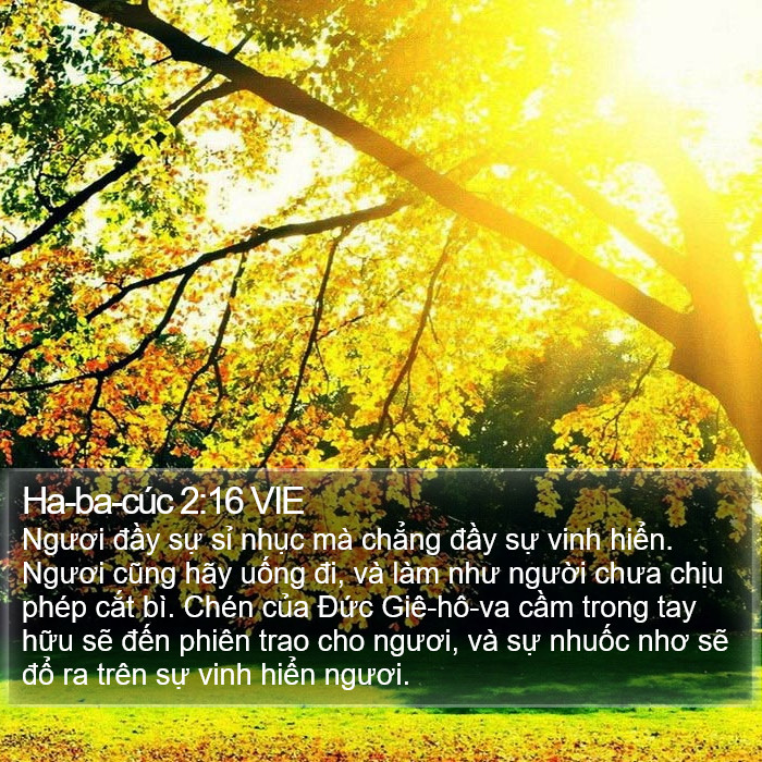 Ha-ba-cúc 2:16 VIE Bible Study