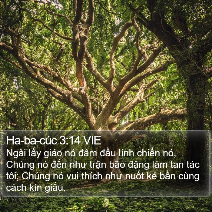 Ha-ba-cúc 3:14 VIE Bible Study