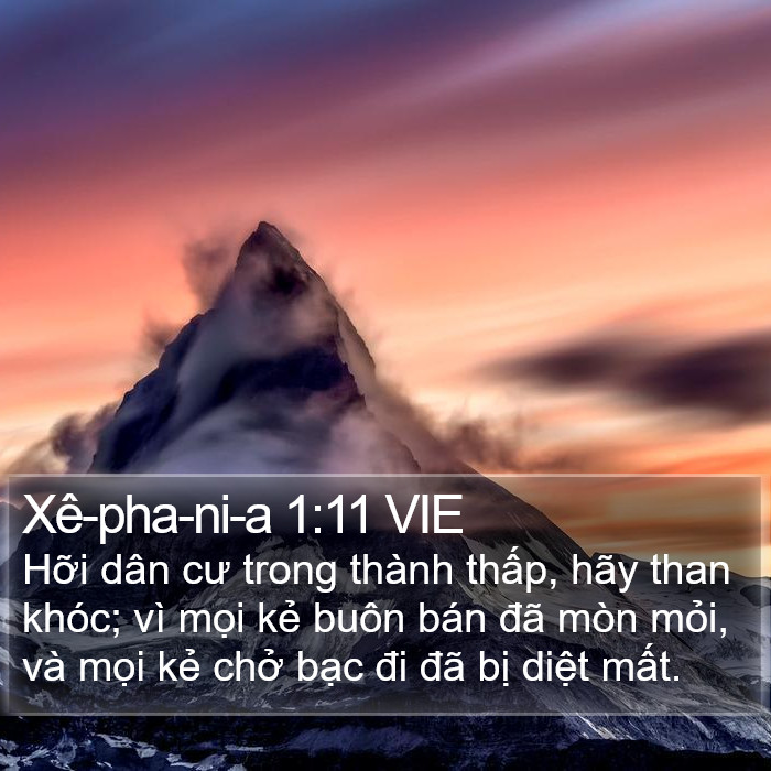 Xê-pha-ni-a 1:11 VIE Bible Study