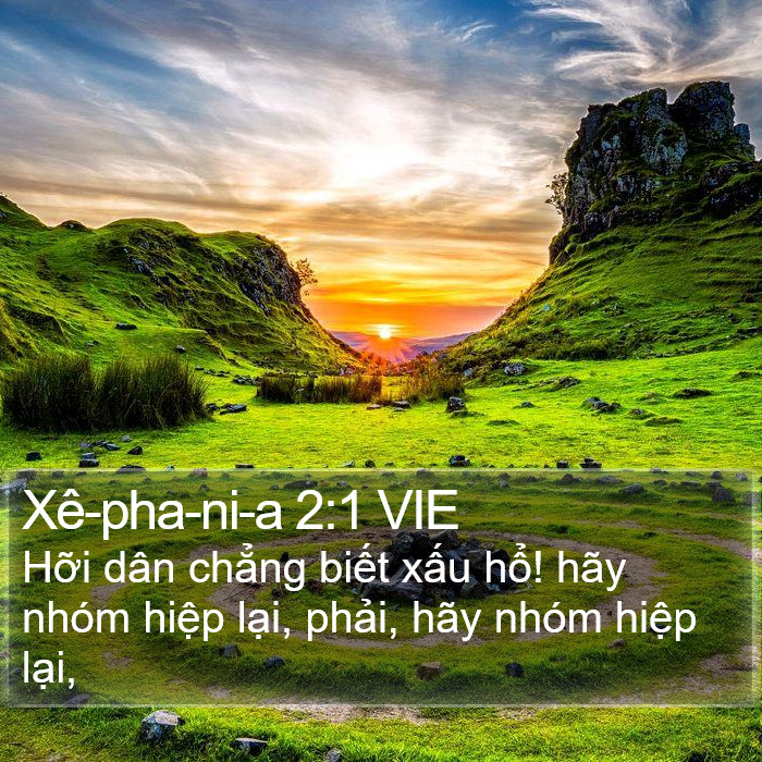 Xê-pha-ni-a 2:1 VIE Bible Study