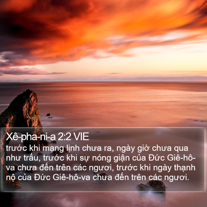 Xê-pha-ni-a 2:2 VIE Bible Study