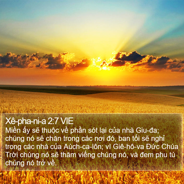 Xê-pha-ni-a 2:7 VIE Bible Study