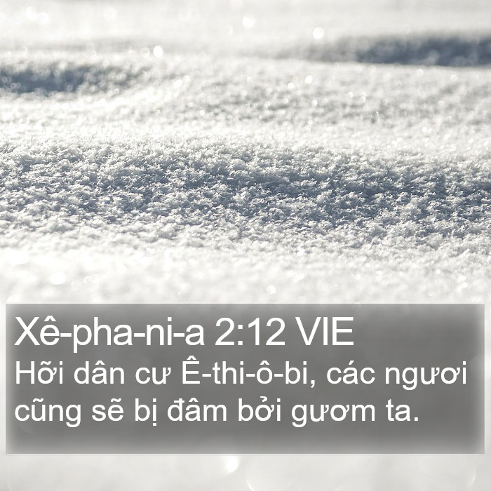 Xê-pha-ni-a 2:12 VIE Bible Study