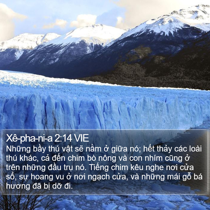 Xê-pha-ni-a 2:14 VIE Bible Study