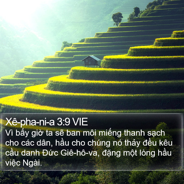 Xê-pha-ni-a 3:9 VIE Bible Study