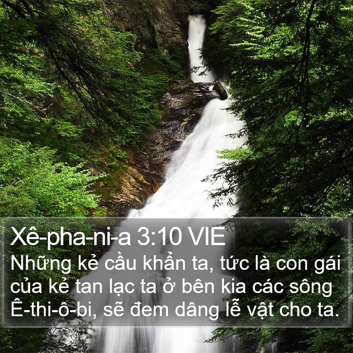 Xê-pha-ni-a 3:10 VIE Bible Study