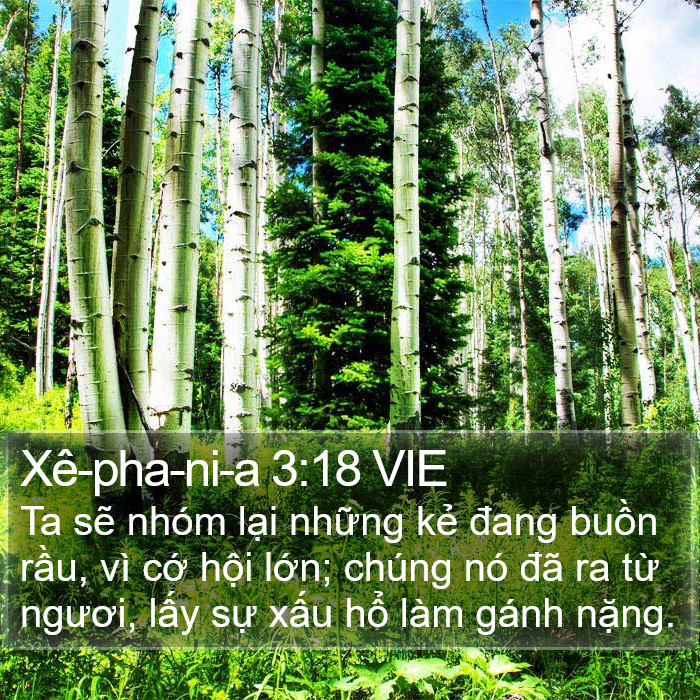 Xê-pha-ni-a 3:18 VIE Bible Study