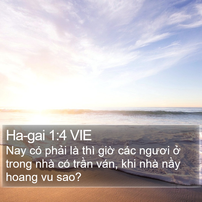 Ha-gai 1:4 VIE Bible Study