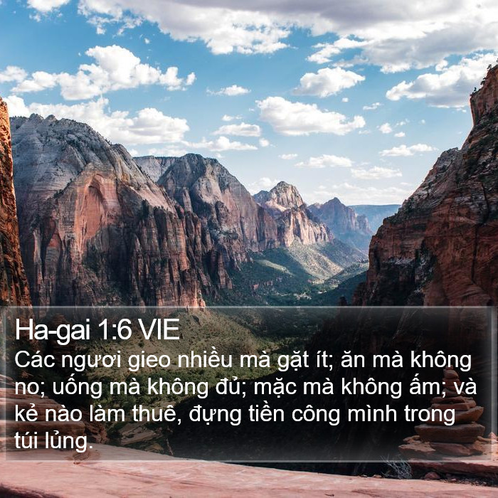 Ha-gai 1:6 VIE Bible Study