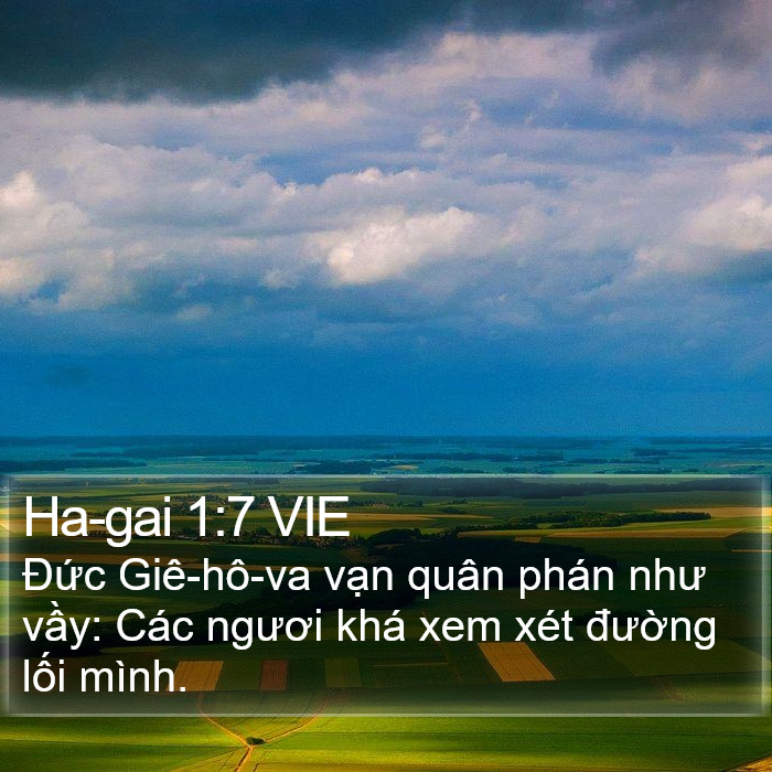 Ha-gai 1:7 VIE Bible Study