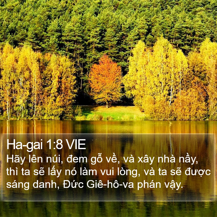 Ha-gai 1:8 VIE Bible Study