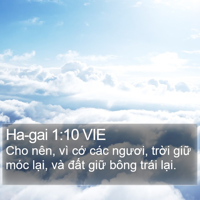 Ha-gai 1:10 VIE Bible Study