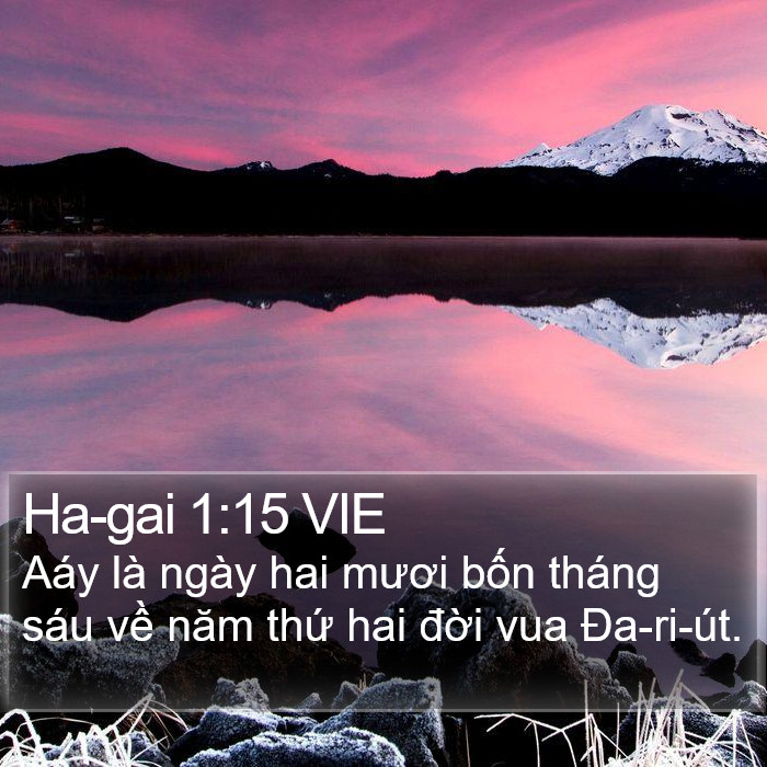 Ha-gai 1:15 VIE Bible Study