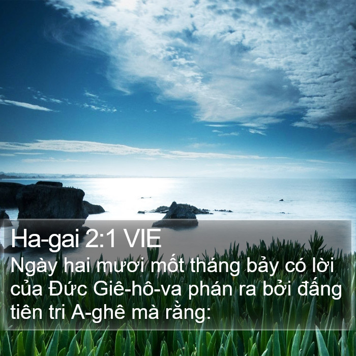 Ha-gai 2:1 VIE Bible Study